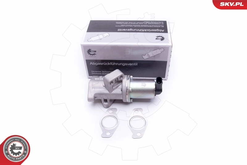 EGR Valve